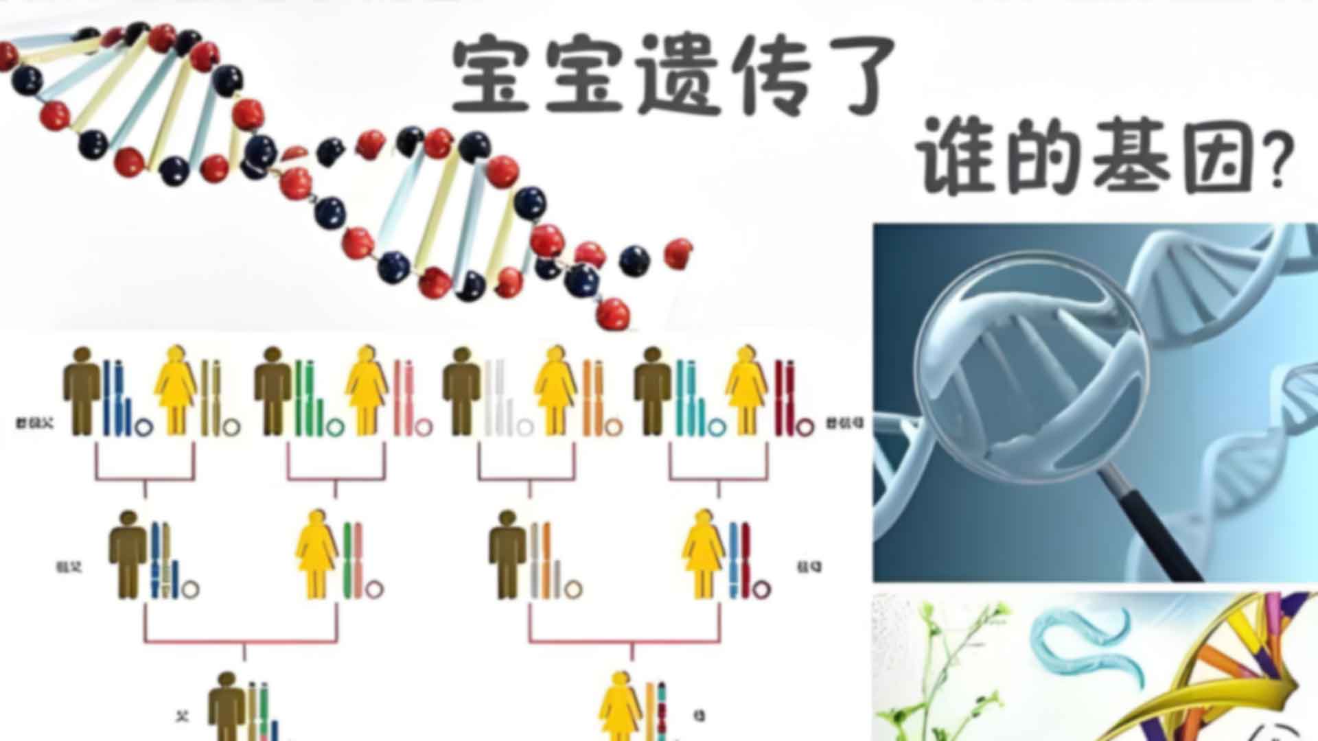 合肥蜀山区胎儿亲子鉴定流程是怎样的